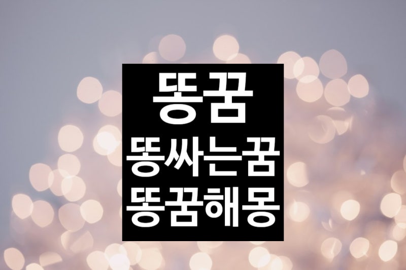 똥꿈 똥싸는꿈 똥꿈해몽