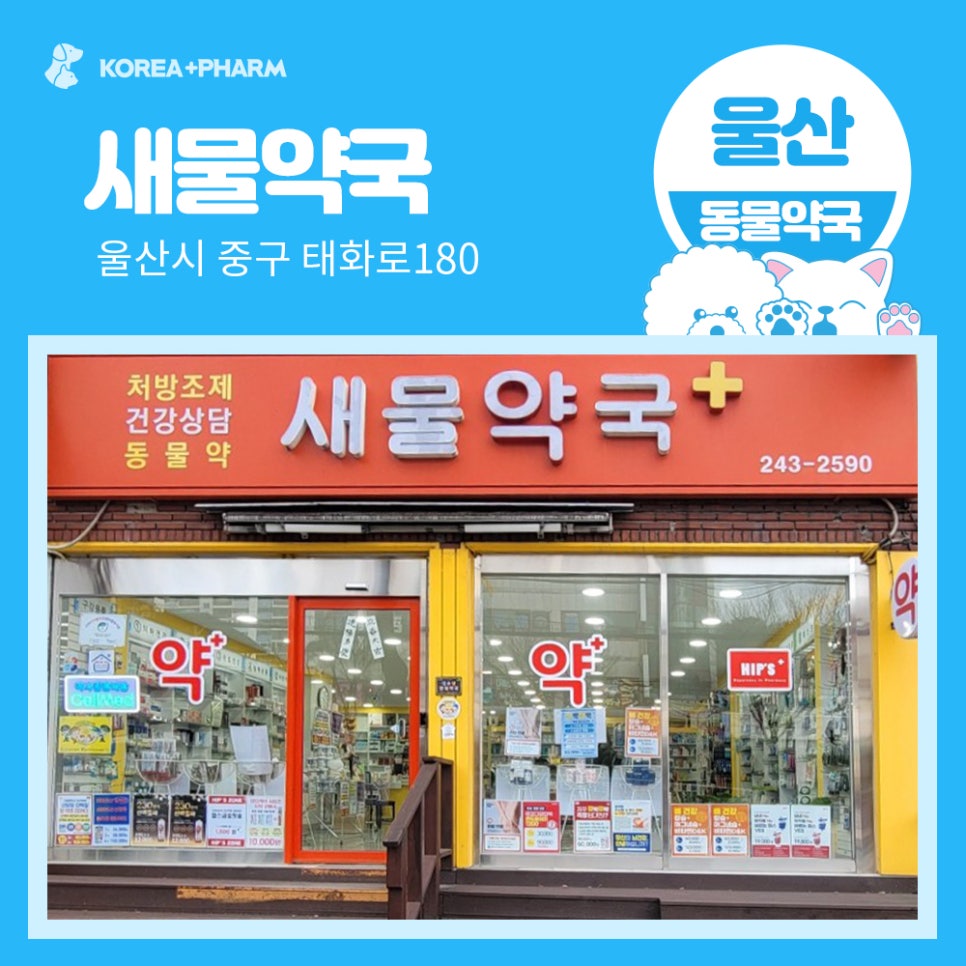 새물약국 사진 1
