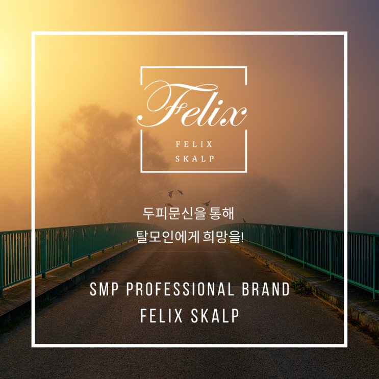  사우동두피문신 망설이지 말자~! 필릭스스칼프 특별 할인 이벤트