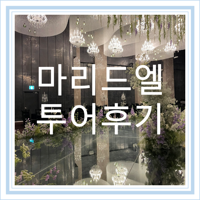  [W6] 홀투어 || 대전 마리드엘 투어후기