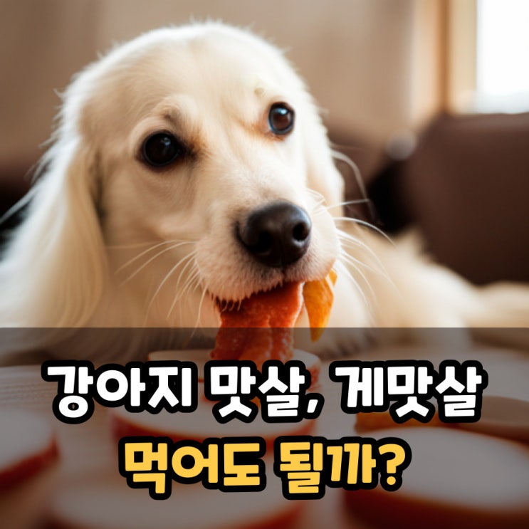 강아지 맛살, 크래미 급여 가능할까? 나트륨이 높은 음식
