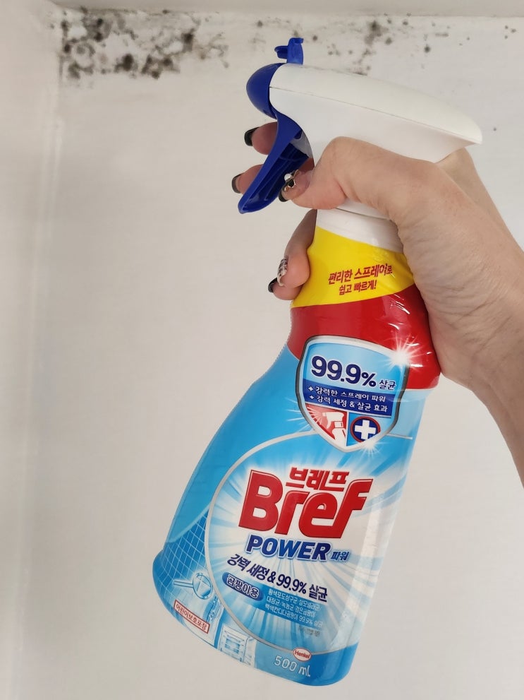 팡이제거! 벽지 곰팡이 흔적 지우기! 곰팡이