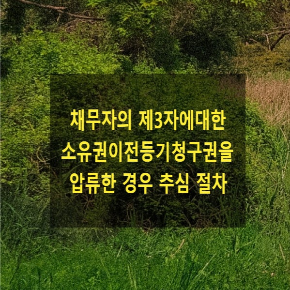 채권자가 채무자의 제3자에대한 소유권이전등기청구권을 압류한 경우 추심 절차