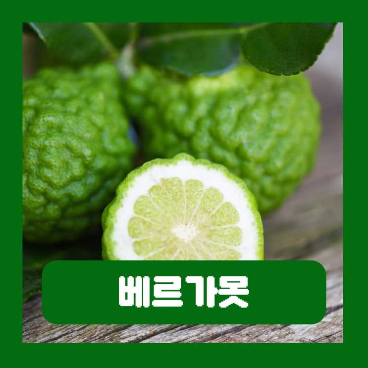  베르가못 폴리페놀 추출물 원액 효능 부작용