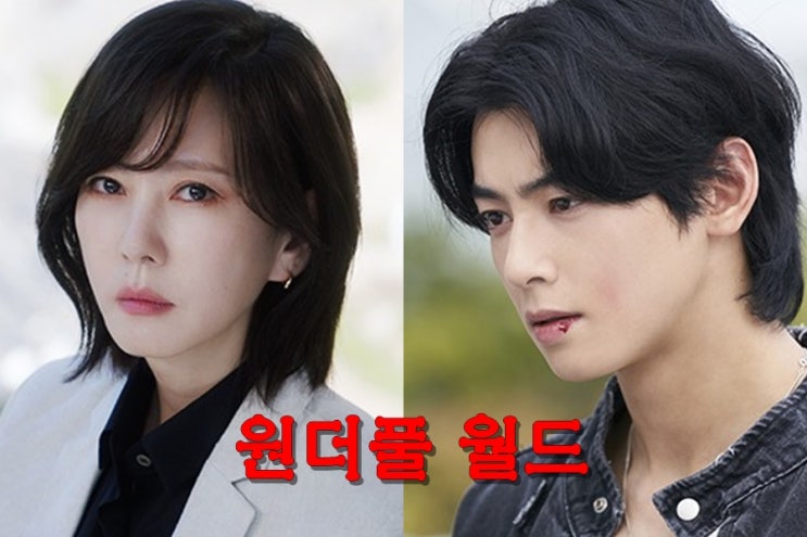 <b>원더풀</b> 월드, 복수 드라마 정보... 출연진 <b>김남주</b> <b>차은우</b> 김강우