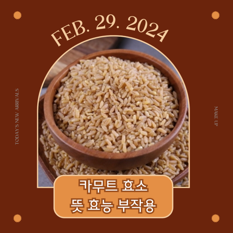  다이어트, 혈당에 좋은 카무트 효소? ㅣ 효소 뜻 / 카무트 효소 (호라산 밀) 효능 성분 먹는 방법 부작용