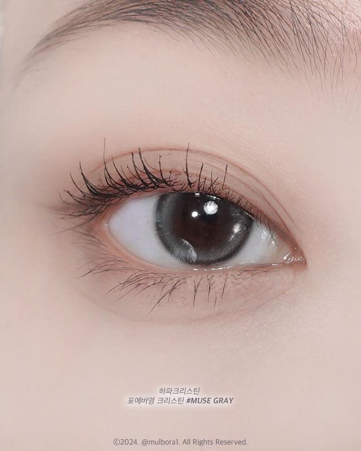  하파크리스틴 포에버영크리스틴 NEW 뮤즈그레이 직경작은그레이렌즈추천