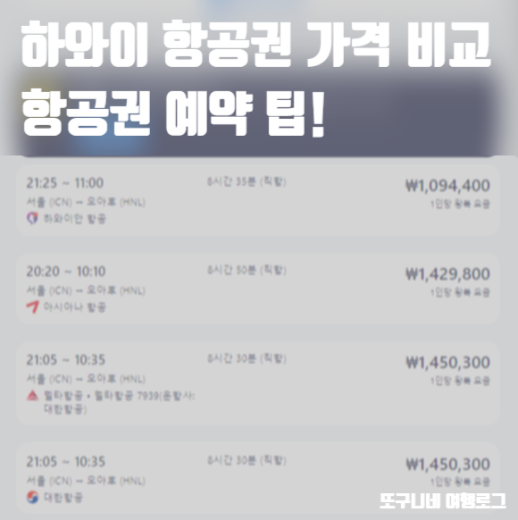  하와이 항공권 가격 비교 예매 팁 & 국내선 예약 방법 (빅아일랜드 코나 힐로 마우이)