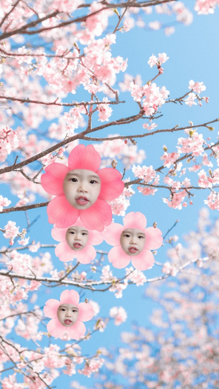 <b>꽃샘추위</b> 아무리 추워봐라
