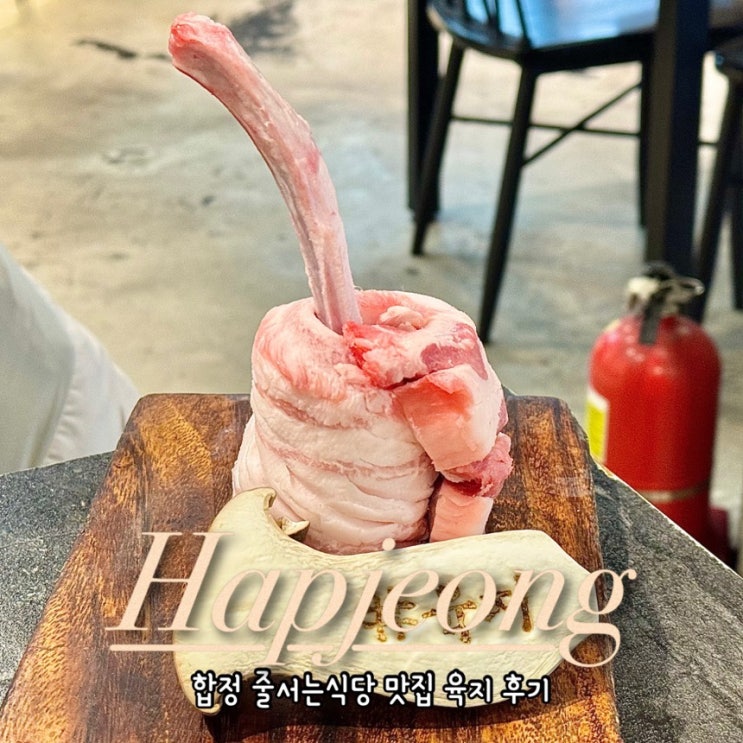  [합정 고깃집] 홍대 육지 줄서는식당 가성비 점심