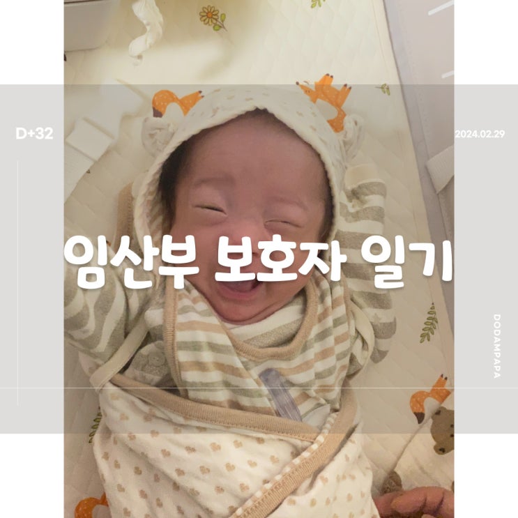 2024.02.29 임산부 보호자 일기 D+32일 2024.02.29 임산부 보호자 일기 D+32일