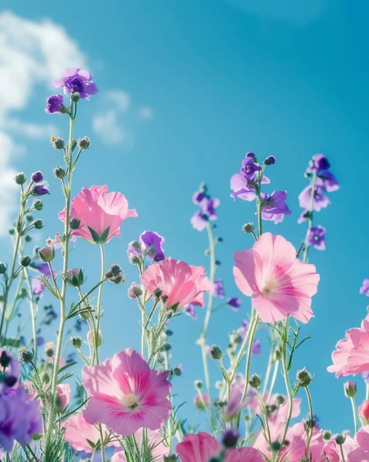   오늘의 생활정보 (2024-02-29, 목)