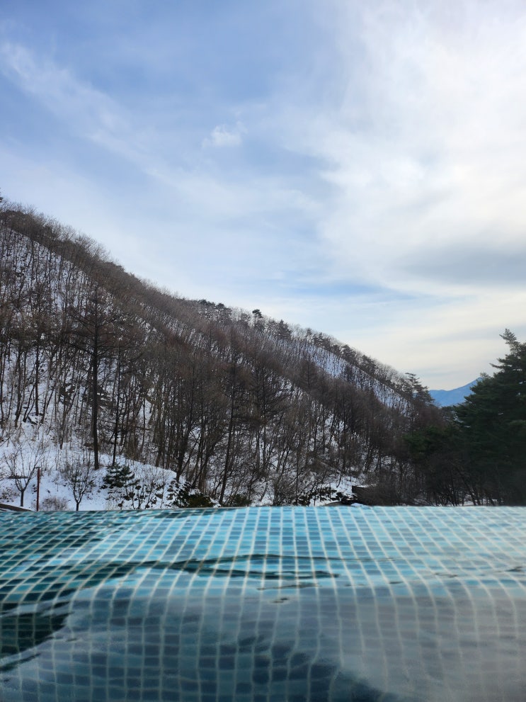  돌아기와 포레스트 리솜, S25객실 - 제천 여행