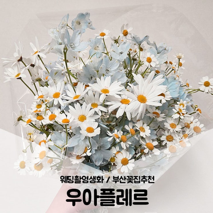  부산꽃다발/웨딩촬영 생화부케 원하는대로 커스텀 가능한 우아플레르