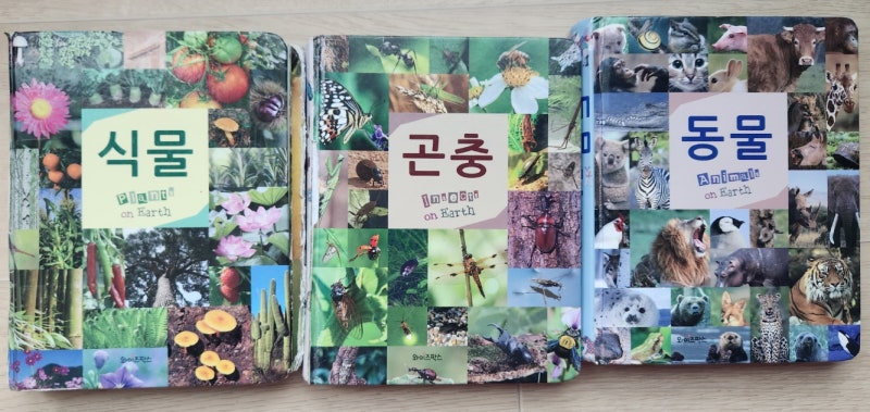 블로그 후기 사진