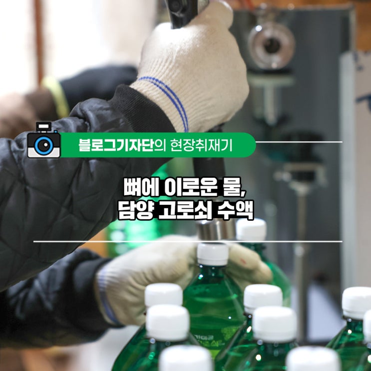 <#현장취재기>뼈에 이로운 물, 담양 <b>고로쇠 수액</b>