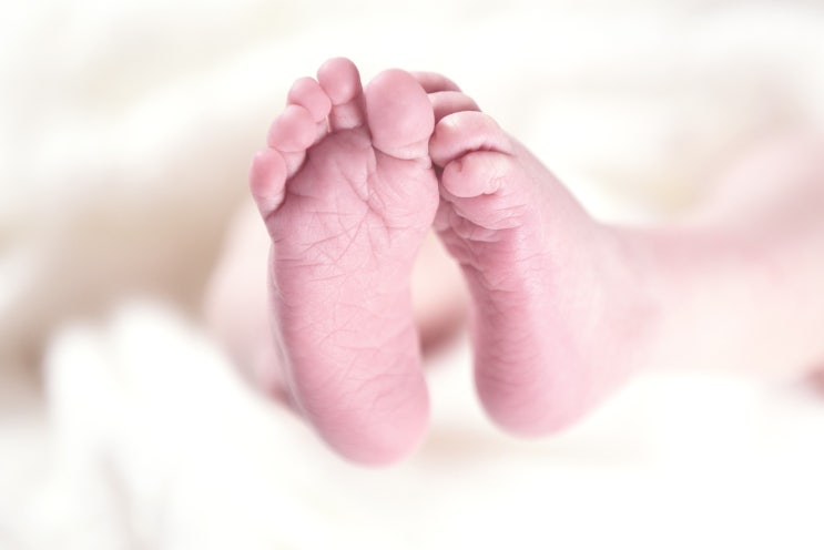  32주 전 태아 성별 확인 합법