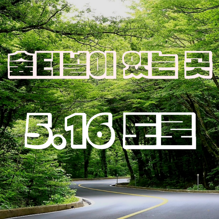  제주도 516도로 - 조폭들이 한 땀 한 땀 만들어낸 아름다운 이 곳은? 제주 5.16도로 숲터널