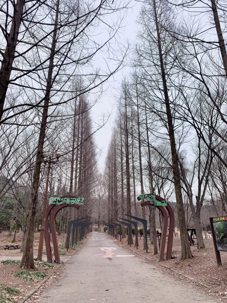인천 가볼만한곳 인천대공원 산책하기 좋은곳 인천 가볼만한곳 인천대공원 산책하기 좋은곳