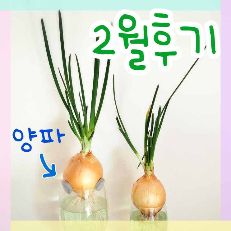  2024년 2월 후기, 새로운 3월의 시작 파이팅이에요!