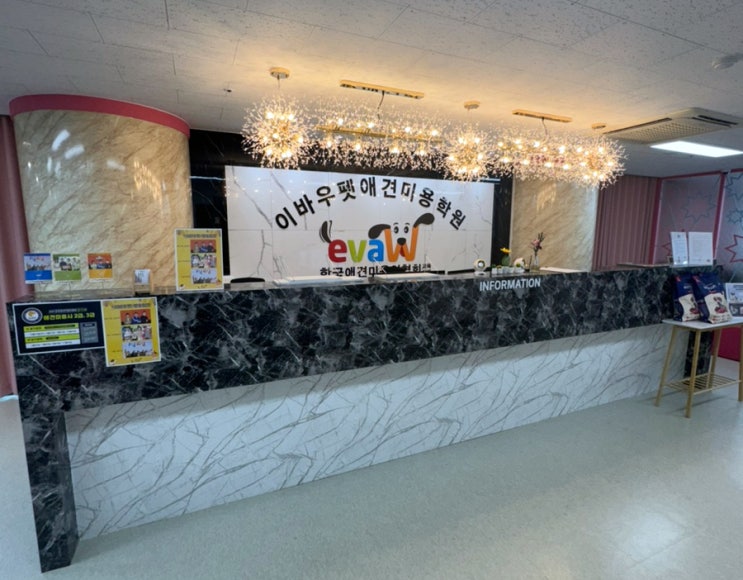  인천애견미용학원 잘하는곳 자격증 취득,실견실습