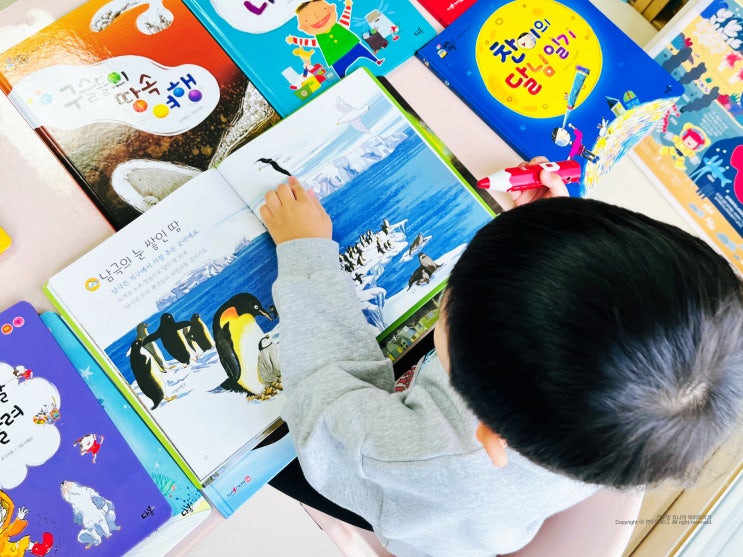 두돌아기책 4세 유아과학책 다봄 과학아 소풍가자 책육아