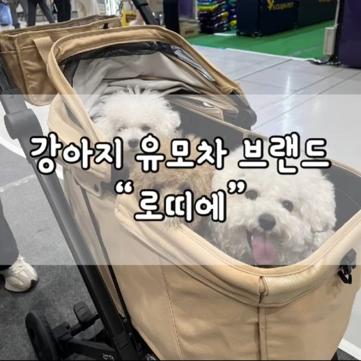  로띠에 노블레스 돔A / 노블레스 돔A / 내돈내산 / 강아지 유모차 / 개모차 추천 / 로띠에 / ROTTIE / 로띠에 / 다견가정 추천 / 일체형 개모차