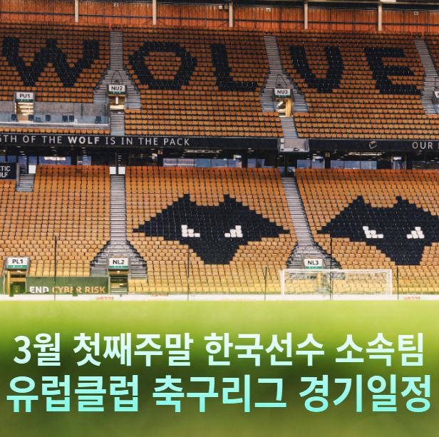 <b>손흥민</b>의 <b>토트넘</b>과 크리스털 팰리스 경기 포함 주말 한국<b>선수</b>... 