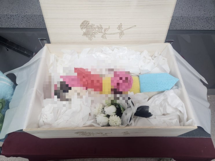  강아지 장수 비결 20살 후 무지개다리 건넌 시츄 또미