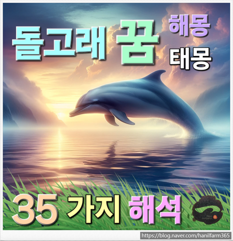 돌고래 꿈 해몽 태몽 & 돌고래 떼 꿈 & 돌고래 나오는 꿈 & 돌고래 타는 꿈 34가지 상황~