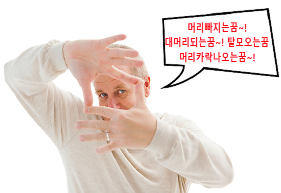 원형탈모되는꿈 내스스로삭발하는꿈 머리빠져가발쓰는꿈 머리가나는꿈