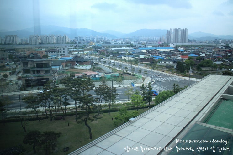  충주 탄금공원 세계무술박물관 - 우선 총망라해 놓고 보자고요, 그런 가치