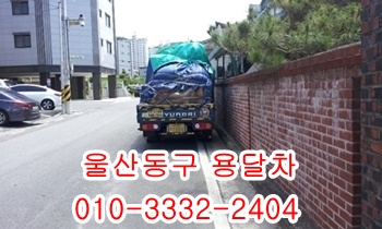 울산동구용달 방어진 제주도 정자 주전 울릉도 양남 양북 감포. 울산동구용달 방어진 제주도 정자 주전 울릉도 양남 양북 감포.