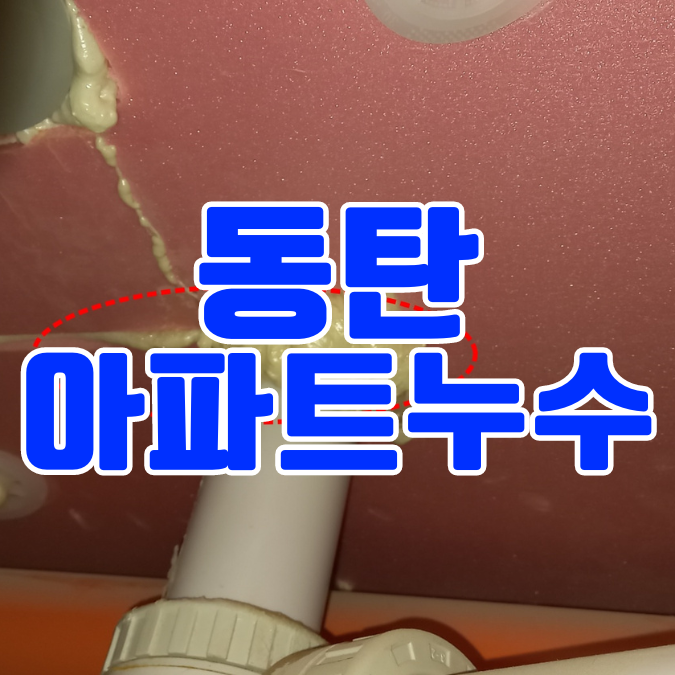  동탄 아파트 누수 욕실 방수공사로 해결 - 인테리어 새로 하다가 발견