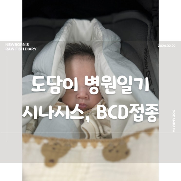도담이 병원일기 시나시스 및 BCD 접종 도담이 병원일기 시나시스 및 BCD 접종