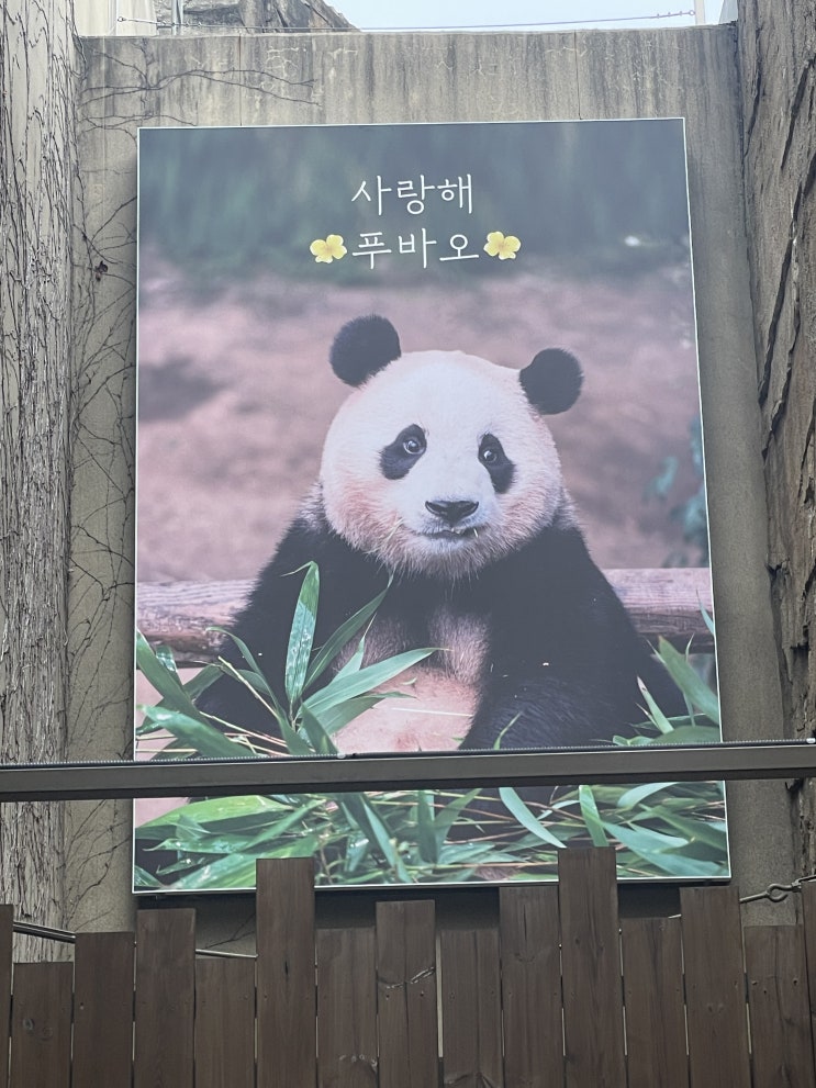 2024년 2월 정산