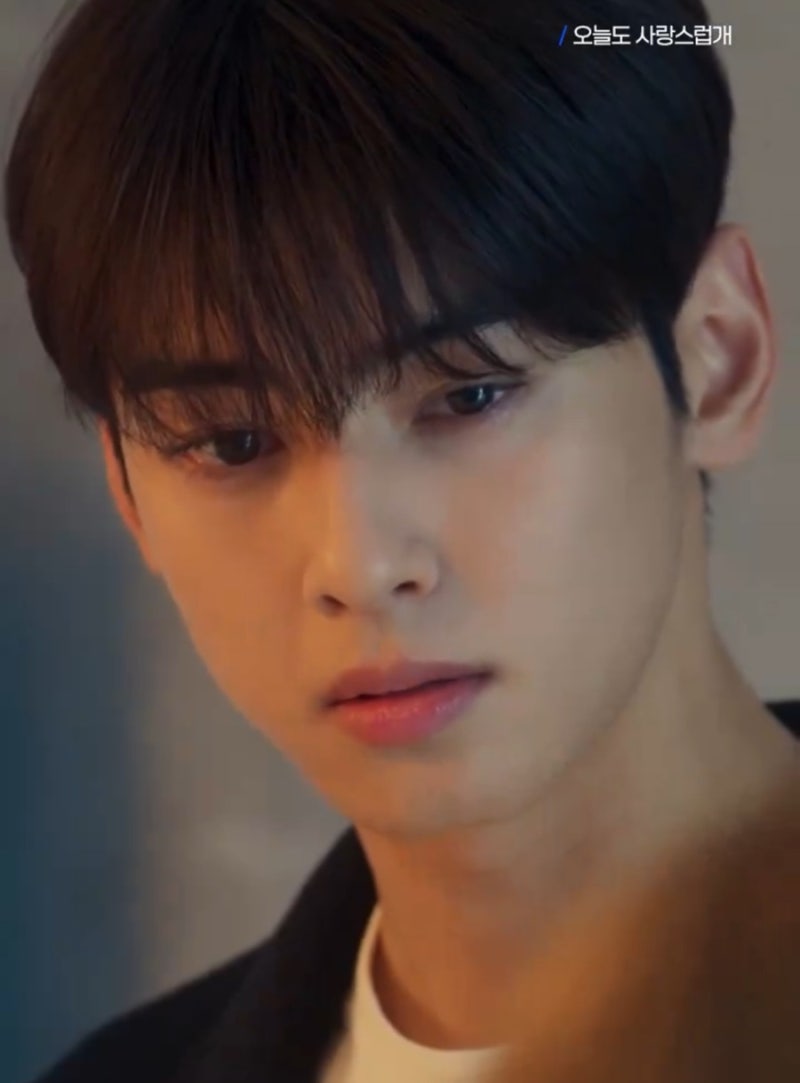 Cha Eun-woo's Hair: See-Through Dandy Cut and Dandy Perm Length