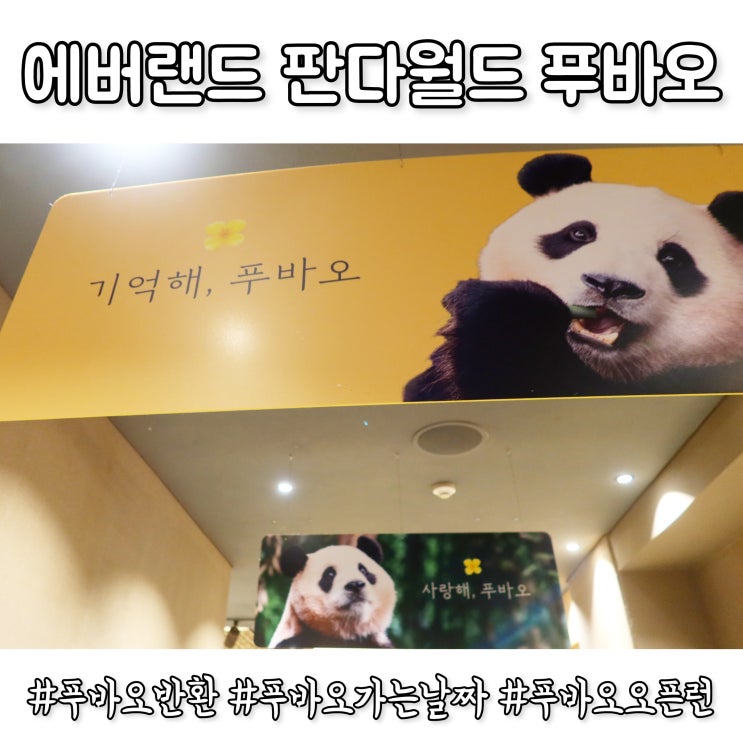 주말 에버랜드 개장시간 <b>푸바오</b> <b>중국</b> 반환 이유 마지막 관람... 