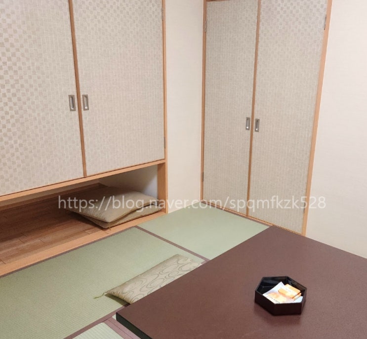  나고야 자유여행 Day 1 게로, 온천 호텔 '스이 메이칸'(Suimeikan) Semi Western-Style Room 후기