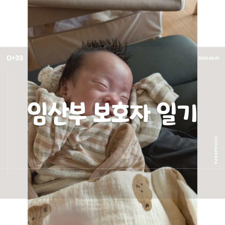 2024.03.01 임산부 보호자 일기 D+33일 2024.03.01 임산부 보호자 일기 D+33일