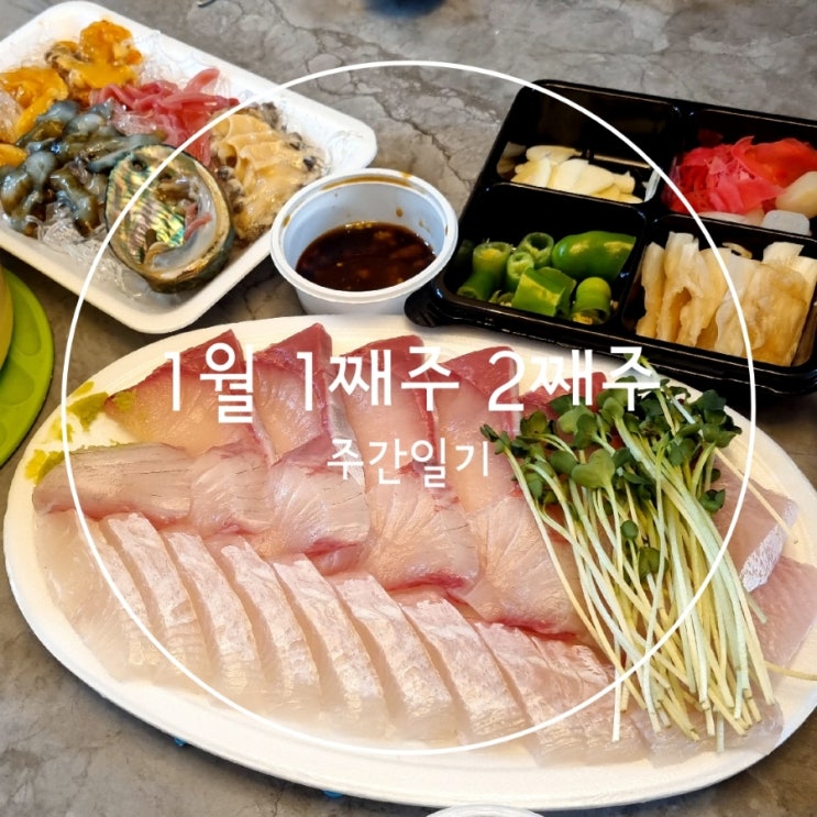  24년 1월 1째 2째주 주간일기 새해일상