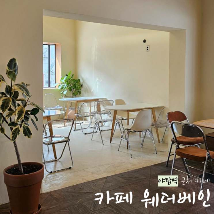  야탑역 대형 카페 : 카페 웨더베인 감성 열 스푼 가득한 느낌의 라떼 맛집 내돈내산 후기