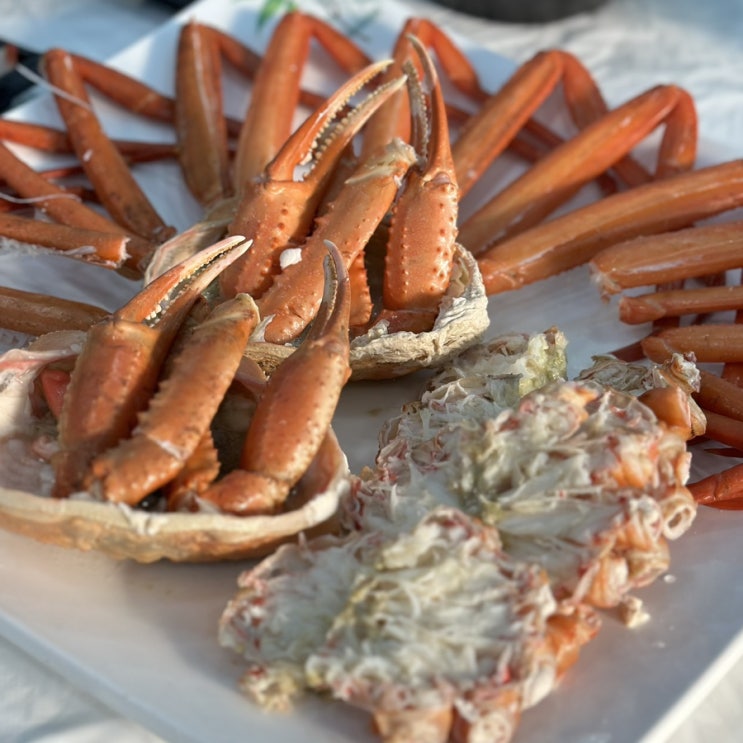  [속초홍게맛집, 속초대게나라홍게마을] 풀코스로 즐기는 홍게찜 맛집