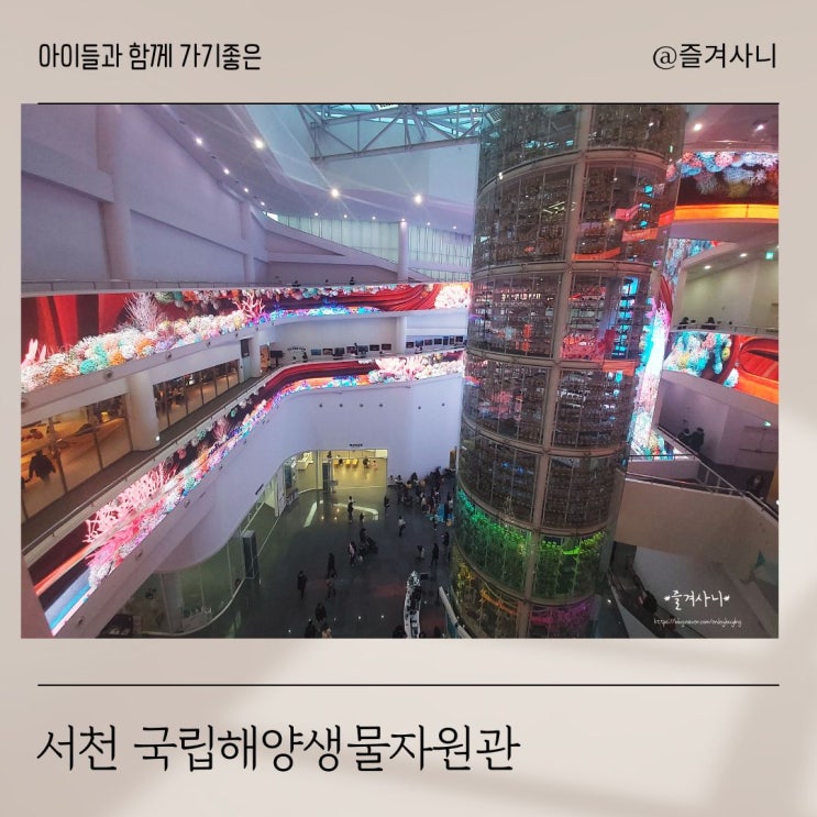  서천 국립해양생물자원관 할인, 씨큐리움,  바다마을 고래고래, 주차, 운영시간 아이들과 함께
