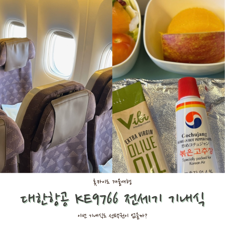  [2024 홋카이도] #9. 홋카이도-인천 대한항공 전세기 탑승기(KE9766, 좌석, 기내식)