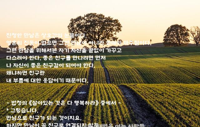 .......진정 .......진정