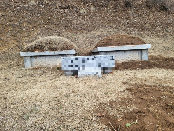  2024년 김천시 부항면 파천리 잔디조성및 가족장 안치 고인돌장묘개발장의 #장의사 #이장 #화장 #개장 #손없는날 #윤달 #벌초 #이하늘장사 #상조 #분묘 #납골당 #가족묘 #평장
