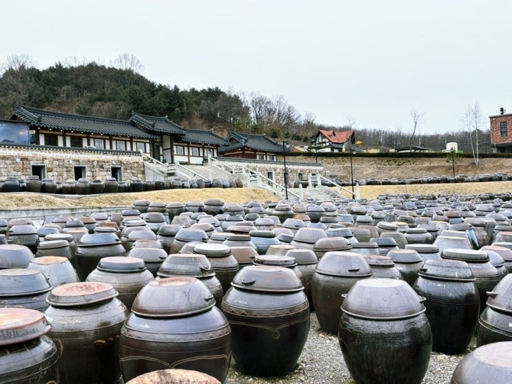  산책하기 좋은 연천 대형카페 세라비 한옥카페