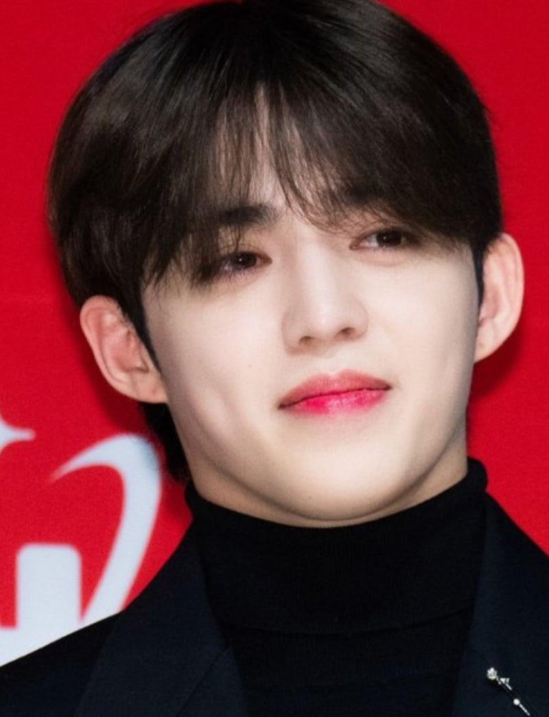 세븐틴 에스쿱스 십자인대 파열 군면제판정 나이 프로필