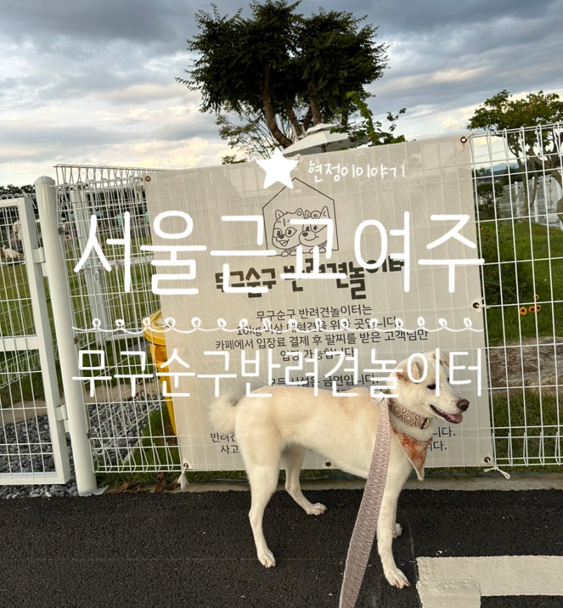 사진 3